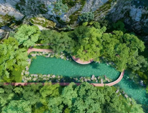 Detention Pond Aerial View